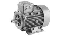 Motor-alg 220x125